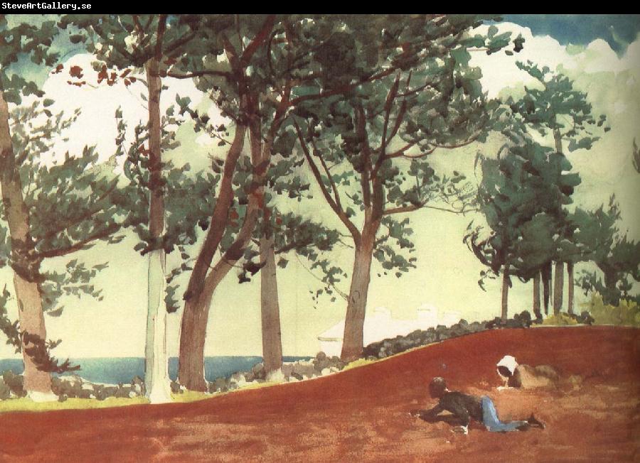 Winslow Homer Houses and trees